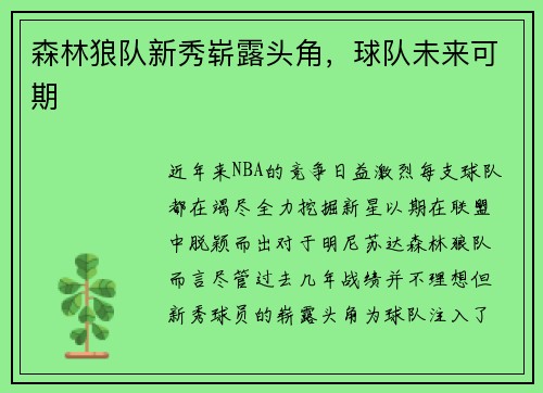 森林狼队新秀崭露头角，球队未来可期