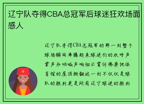 辽宁队夺得CBA总冠军后球迷狂欢场面感人