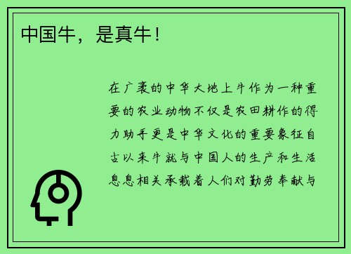 中国牛，是真牛！